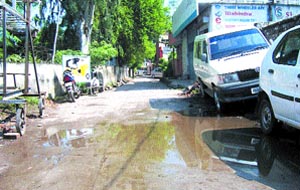 Choked drains, heaps of filth: The Officers Colony in Pathankot is in a mess. 