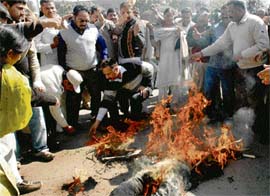 BJP activists burn the effigy of the UPA government in protest against the hike in petroleum prices in Chandigarh on Friday