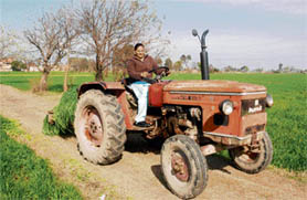 Gurmit Kaur has been plying the tractor for the past 20 years in Mana Talwandi, Jalandhar.