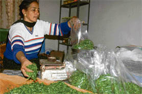Gurdev Kaur readies her speciality (saag) for sale in PAU, Ludhiana.