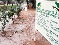 A freshly painted notice board, mentioning that the Chandigarh City Bird Sanctuary is governed under the Wildlife Protection Act, was installed in the park on Sunday.