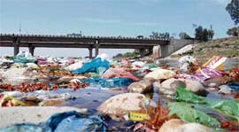 Filth and garbage float in the Tawi river in Jammu