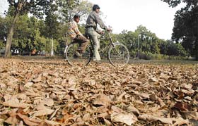 Young cyclists wade through dry leaves that indicate the arrival of the spring season in Ludhiana
