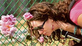 AS FAIR AS A ROSE: A visitor smells a rose at the Rose Garden in Chandigarh on Thursday.