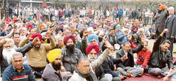 Members of different staff unions of Punjab Agricultural University in a dharna in front of the Thapar Hall in Ludhiana