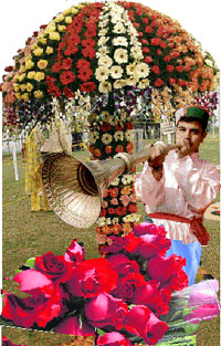 Photos: Manoj Mahajan
