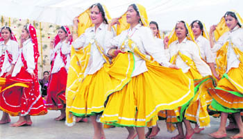 Haryanvi dance performance on the third day of the rose festival in Chandigarh on Sunday.