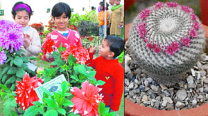 Children look at chrysanthemums; and (right): a cactus variety on display at an exhibition on flowers and plants at Atal Park in Karnal on Sunday.