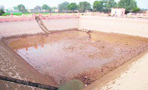 The filthy tank of a water filtration plant at Jajjal village in Talwandi Sabo block has been lying dry for the past two months. 