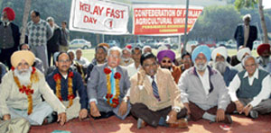 PAU pensioners on a relay fast at PAU campus in Ludhiana on Monday.