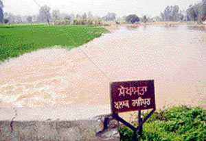 A breach in the Kandi canal (stage-I), which submerged hundreds of acres at Shekha-Matta near Talwara on Monday.
