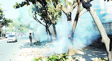 Dry leaves being burnt by MC employees despite ban at Master Tara Singh Nagar in Jalandhar on Thursday.