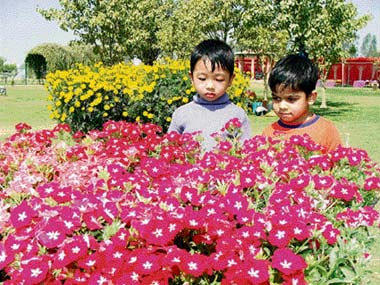 Two children admire the beauty of flowers during the annual HUDA flower festival at Rohtak. 