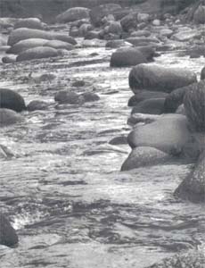 Towards Water Wisdom: Limits, Justice, Harmony