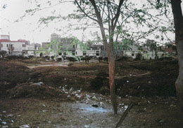 The site earmarked for the park in Dhanas village being used as a ground for grazing cattle.