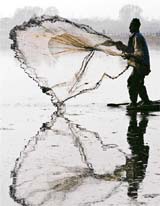 A fisherman throws a net to catch fish in the waters of Dal Lake in Srinagar.