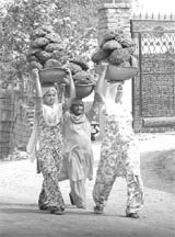 Rural women head to their homes in Ambala