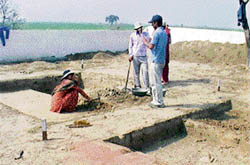 A team of archaeologists excavates a site near Badli village in Jhajjar.
