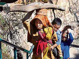 Unaware of the efforts being put in by the state government for women and children, these kids and their mother toil hard to manage a square meal in Shimla