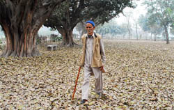 A man walks through the fallen leaves near the lake in Bathinda