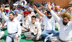 Patwaris protesting at the Tehsil office in Bathinda