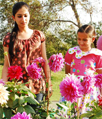 Girls admiring the flower arrangement at the Bathinda Military Station on Saturday.