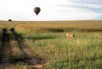 South Africa draws Indian tourists by droves. Kenyan safari remains a hot pick with them.