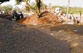 Encroachers run a thriving business from the government land near the rotary intersecting Sector 25 and Sector 38 west.