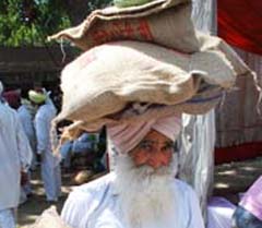 An old farmer carries certified seeds from the Kisan Mela in Bathinda on Tuesday.