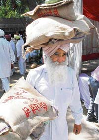 An old farmer carries seeds from the kisan mela at Bathinda on Tuesday. 
