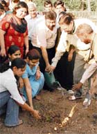 Mayor Pradeep Chhabra and PU vice-chancellor Prof R.C. Sobti plant saplings on the PU campus on Sunday.
