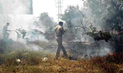 Cops try to control the fire that broke out in the forest area outside the PAU in Ludhiana on Sunday