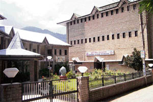 Bhuri Singh museum