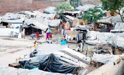 Slums are spreading in Bathinda town as the authorities have failed to properly implement the welfare schemes