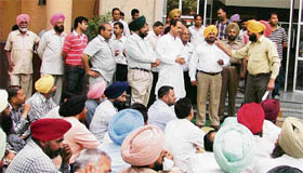 MC draftsmen stage a dharna in Ludhiana on Thursday.