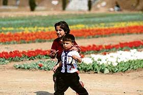 Tiny tots enjoy tulip fest at Siraj Bagh on the outskirts of Srinagar
