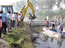 Police personnel and volunteers search for bodies in Bhakra Canal near Kachwa village in Karnal on Sunday.