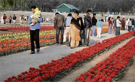 Tourists enjoy the beauty of tulips on Sunday.