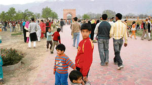 People of all ages and from different places visit the Badaam Waer in Srinagar on Tuesday.