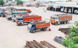 The presence of trucks at the local grain market has become a regular feature