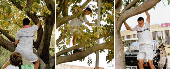 Kumantsov Andrey climbs up the tree, balances on the branch and comes down at CLTA, Chandigarh