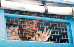 Dr Amit, the main accused in the kidney racket, being produced in the CBI court in Ambala on Wednesday.