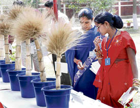 Members of the Agricultural Technology Management Agency of Munger district in Bihar seek information regarding varieties of wheat during a kisan mela at the Directorate of Wheat Research in Karnal on Wednesday.