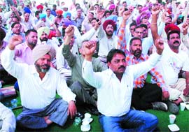 MC employees protest vigilance high-handedness in Jalandhar.