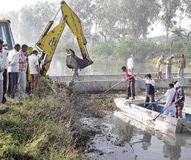 It was sad to see nine bodies being taken out of the Bhakra canal, near Kachwa village in Karnal district