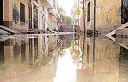 Sewer water accumulates in one of the streets of Doraha Photo: Lovleen Bains