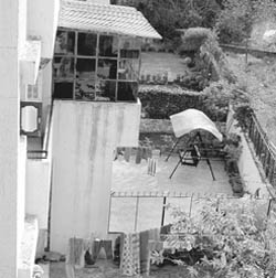 Lawns developed on the pathway in Sector 5, Mansa Devi Complex, Panchkula. 