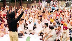 Municipal corporation employees protest outside the Zone A office in Ludhiana