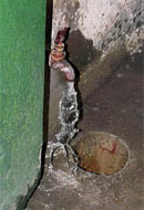 A faulty tap at the mini secretariat in Ludhiana