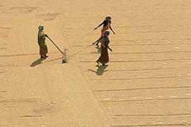 Women work in a rice mill at Palla Road, about 130 km north west of Kolkata,